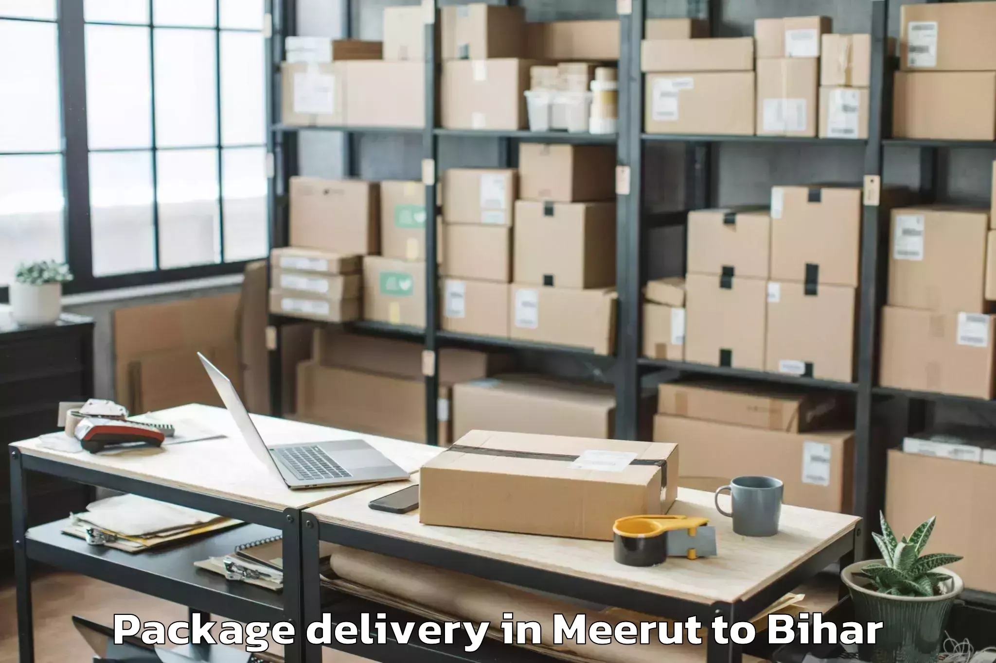 Book Meerut to Pipra Package Delivery Online